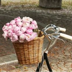 Grand Panier Sur Guidon De Vélo En Rotin Darcy L Basil -Éclairages vélo Soldes grand panier sur guidon de velo en rotin darcy l basil full 5