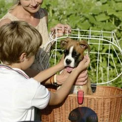 Kit Panier Vélo Chien Doggy Plus + Fixation GTA Klickfix -Éclairages vélo Soldes kit panier velo chien doggy plus fixation gta klickfix full 6