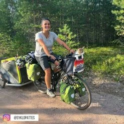 Sac De Vélo Pour Chien Doggy - KLICKfix -Éclairages vélo Soldes sac transport chat velo